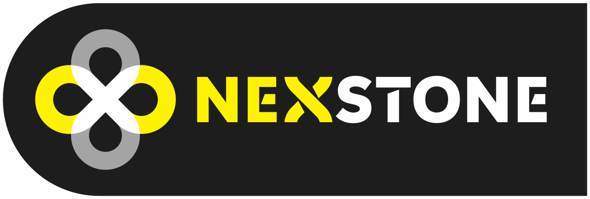 cropped-NEXSTONE_bloc_RVB_300dpi